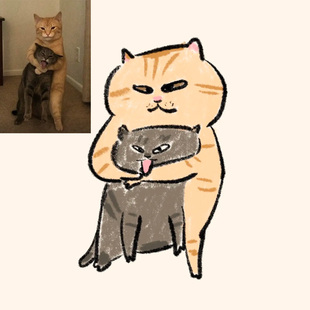 卡通手绘Q版 猫咪狗狗画像宠物定制可爱微头像设计照片约稿表情包