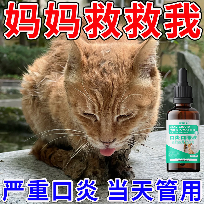 猫咪口炎特效药猫咪流口水口腔溃疡食欲不振口臭烂嘴巴溃烂红肿