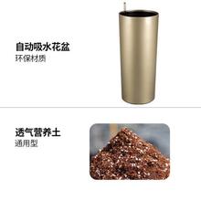 盆兰花专用简约圆柱形号吸水自虎皮花盆家用树脂客厅轻奢风懒人大