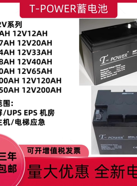T-POWER耐康蓄电池NP12V7AH24AH40AH65AH100AH直流屏EPSUPS电源