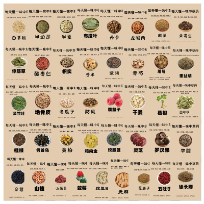 82张手绘中草药图鉴贴纸中医小知识科普认知装饰手账桌面文具贴画
