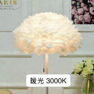 羽毛灯北欧卧室吊灯客厅房间餐厅网红创意灯装饰个性店铺简约现代