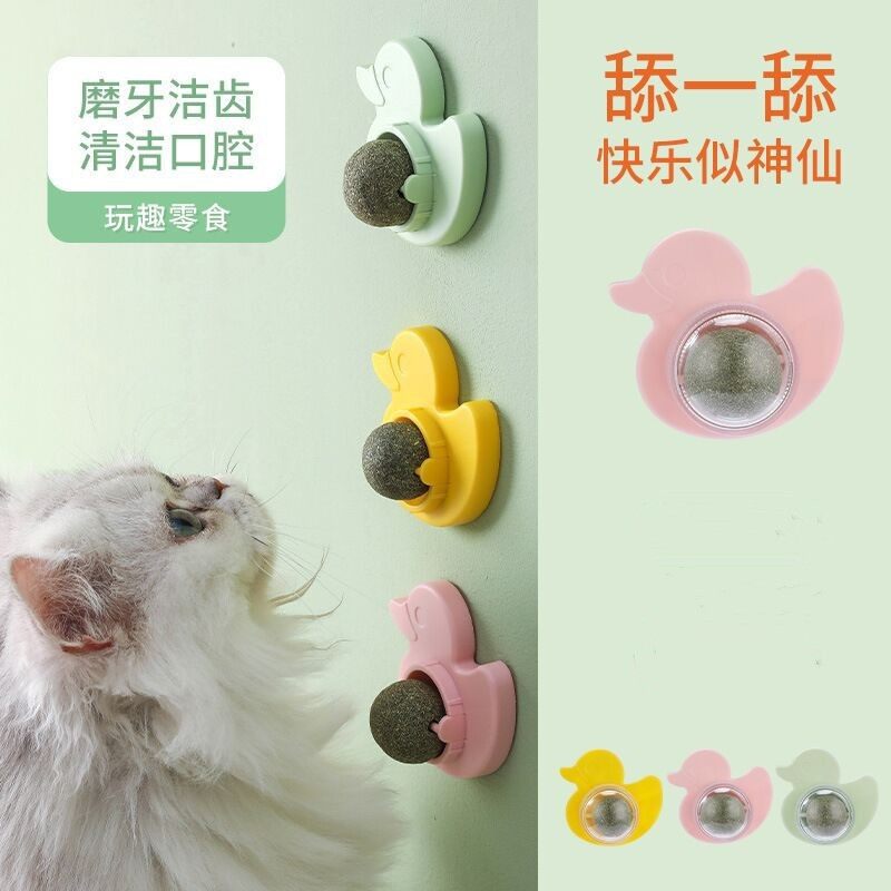 猫薄荷球猫咪玩具猫草球成猫幼猫磨牙洁齿化毛球猫薄荷猫零食,宠物/宠物食品及用品,更多日用品,淘宝优惠券,粉丝福利购,淘宝优惠卷