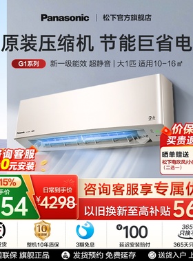 松下双排大一匹空调挂机家用新一级能效变频冷暖两用除菌LG9KQ10N