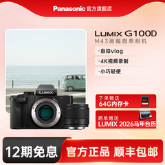 【官方旗舰】松下G100D微单防抖M43画幅拍摄家用旅行相机可搭镜头
