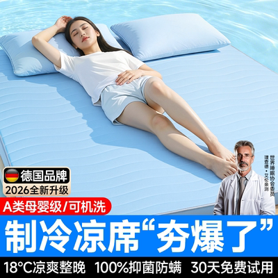 【18℃制冷】德国进口降温凉席