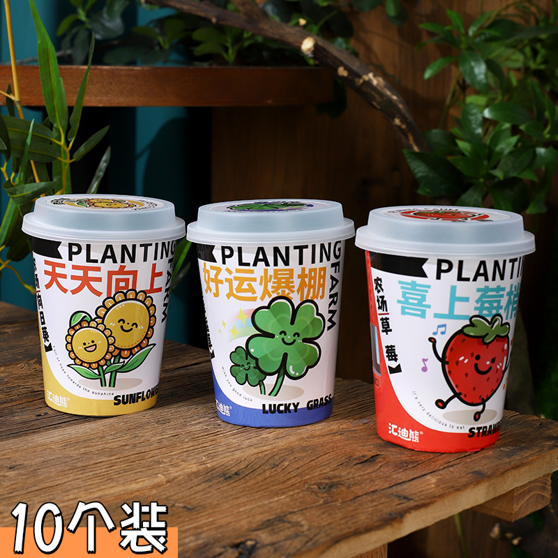 新款自吸水式盆栽儿童桌面种植花卉植物幼儿园向日葵幸运草小盆栽