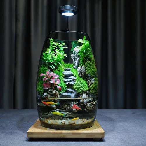 高端送礼物步步高升养鱼缸创意桌面生态瓶苔藓微景观摆件造景办公