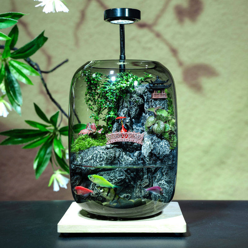 流水款养鱼缸创意桌面生态瓶苔藓微景观摆件造景办公室植物绿植物