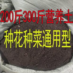 营养土土壤种植多肉花土有机泥炭土 种菜土100斤种菜在家种菜用