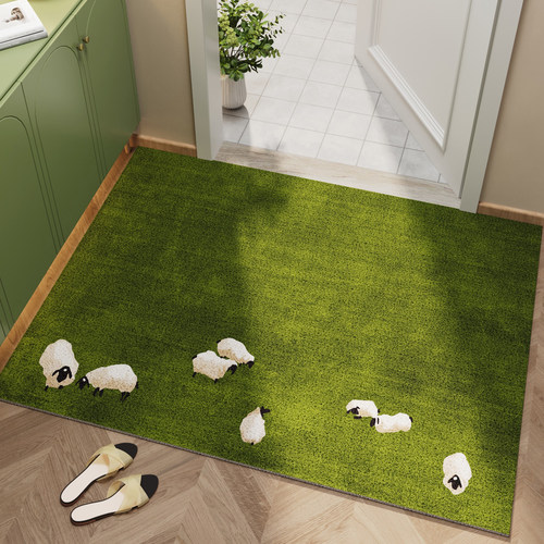 小清新入户地垫丝圈防滑耐脏脚垫