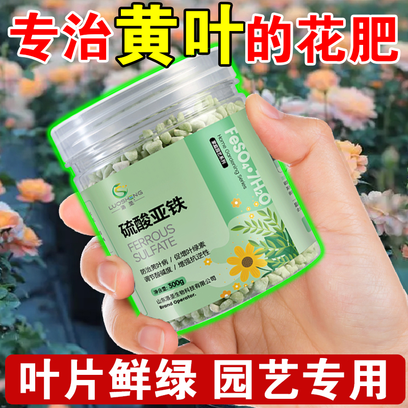 硫酸亚铁肥料亚硝酸铁杜鹃花蟹爪兰铁树叶子黄喜酸植物专用营养液-封面