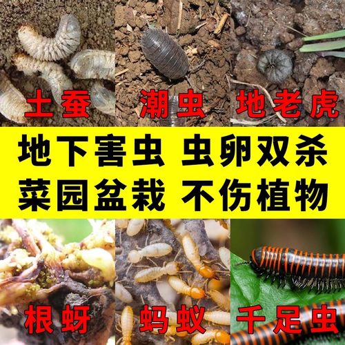 【爆款热卖】植物地下害虫除虫剂