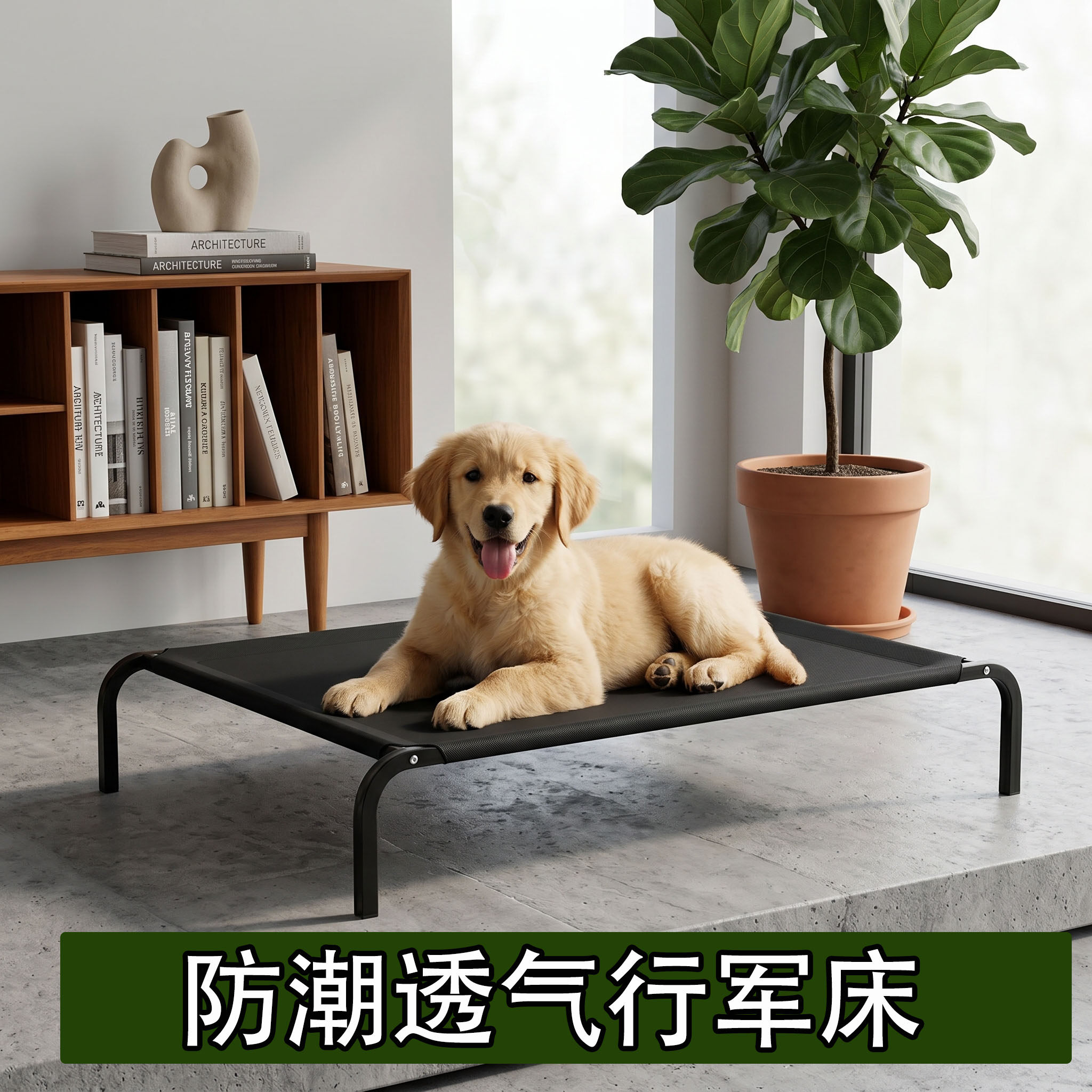 新款狗床四季通用可拆洗狗狗行军床离地防潮架铁艺宠物狗狗行军床