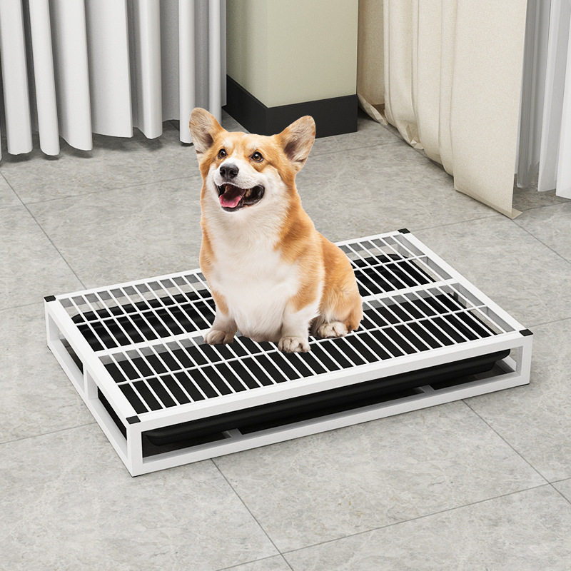 狗厕所公狗训练通用专用超大宠物公狗狗砂平板尿便盆上幼犬泰迪小,宠物/宠物食品及用品,狗厕所,淘宝优惠券,粉丝福利购,淘宝优惠卷