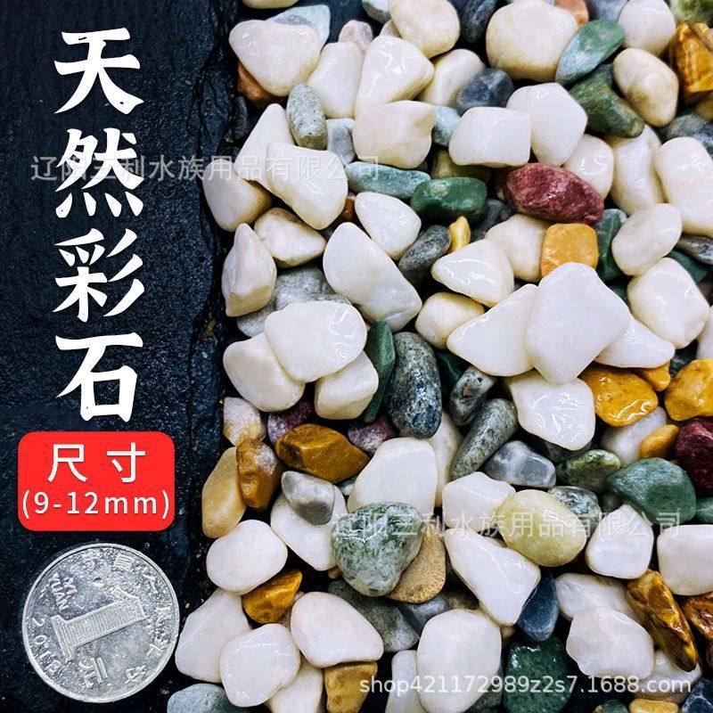 大块原生溪流石专用沙头全套新型装饰鱼缸白沙景观沙石乌龟虾办公,宠物/宠物食品及用品,龟缸,淘宝优惠券,粉丝福利购,淘宝优惠卷