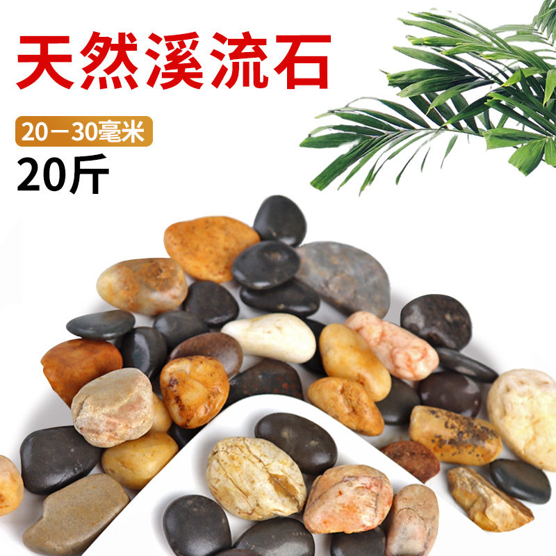 免洗溪流石专用乌龟水草过滤沙子水族箱造景铺垫石头生态缸摆设草,宠物/宠物食品及用品,龟缸,淘宝优惠券,粉丝福利购,淘宝优惠卷