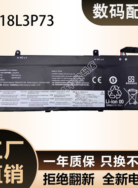 适用联想ThinkPad T490 T495 P43S T14 Gen1/2笔记本电池L18L3P73