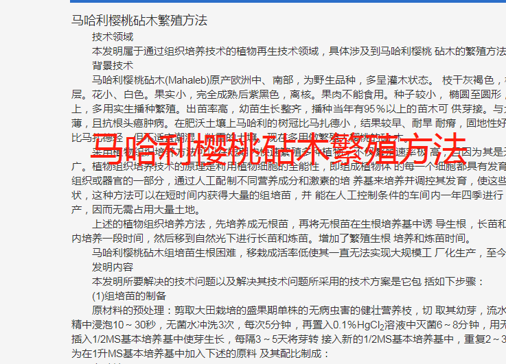 马哈利樱桃砧木快速繁殖方法技术