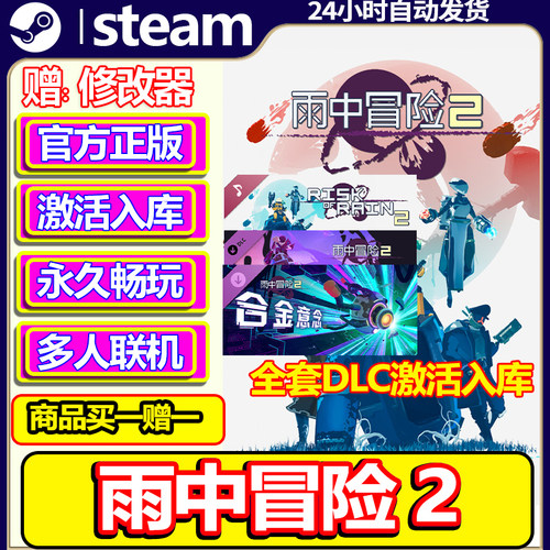 steam正版雨中冒险2激活码CDKey
