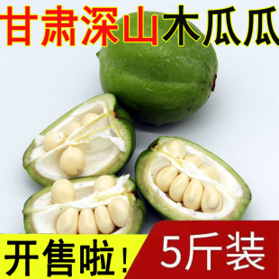 甘肃庆阳野生木瓜宣木瓜青新鲜文冠果新鲜生吃孕妇坚果当季特产