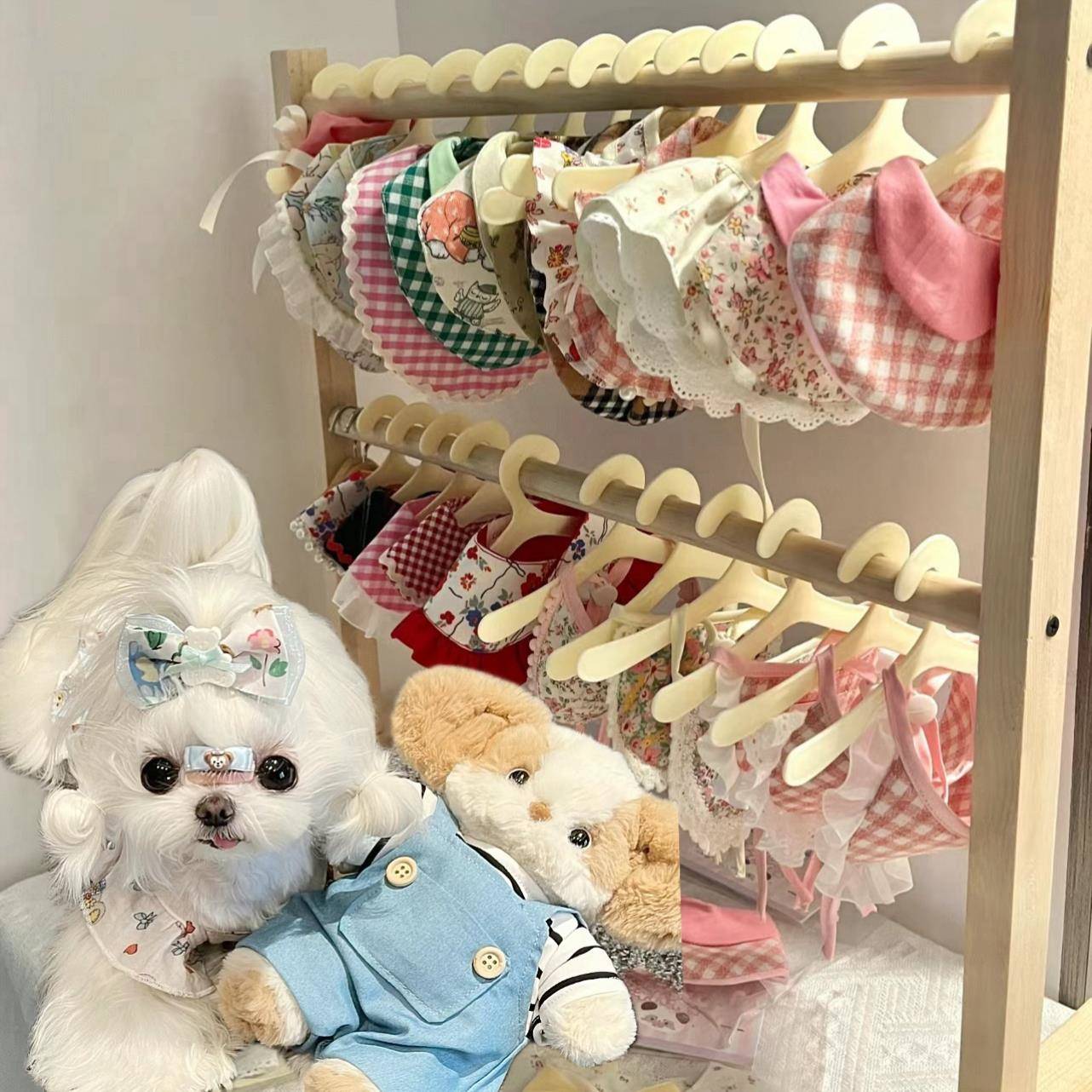 宠物衣架塑料围巾小衣架小孩婴儿挂衣服擦手巾挂子简约款毛巾架子图片