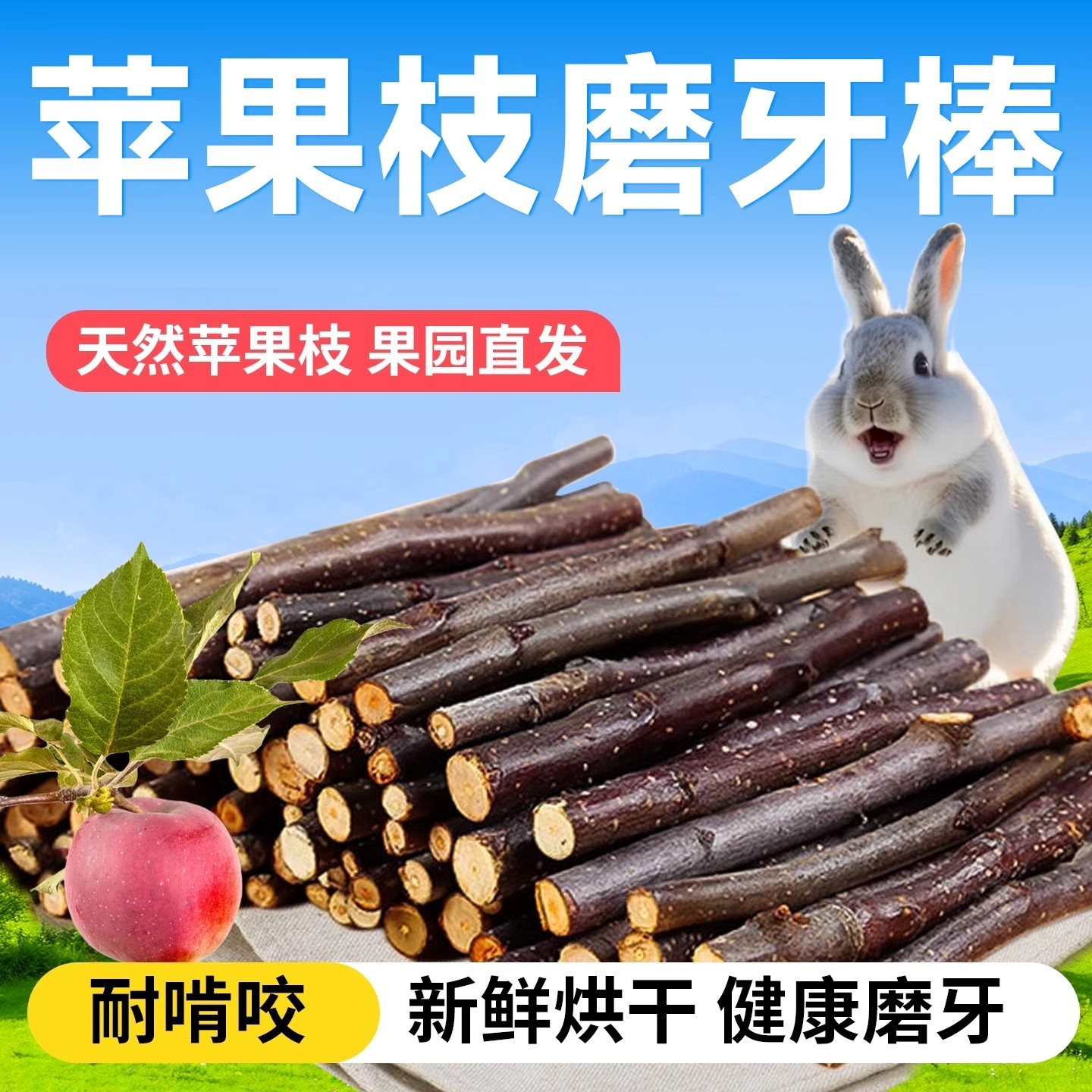 兔子磨牙神器苹果枝啃咬磨牙宠物侏儒兔玩具零食荷兰猪可食用木头