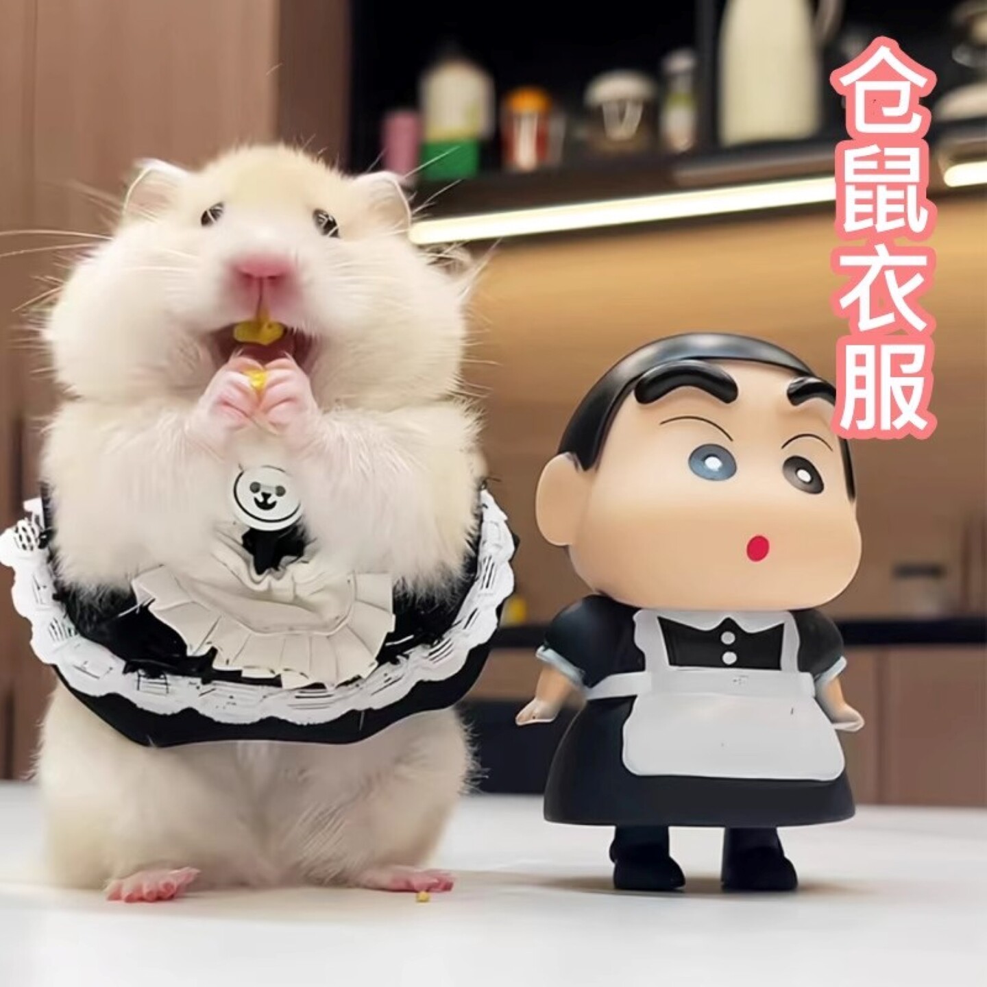 仓鼠专用小衣服秋冬季保暖服装裙子毛线衣金丝熊荷兰猪花枝鼠服饰