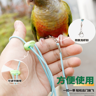 鹦鹉飞行绳专用玄风牡丹背带外出遛鸟牵引弹力放飞绳虎皮珍珠鸟绳