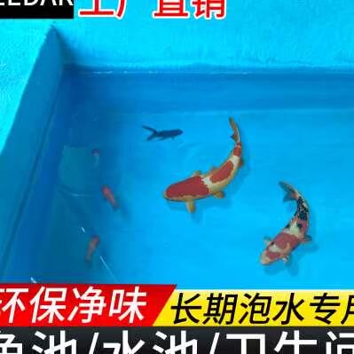 k11鱼池水池防水涂料卫生间防水补漏材料水泥基内外墙地面防水胶