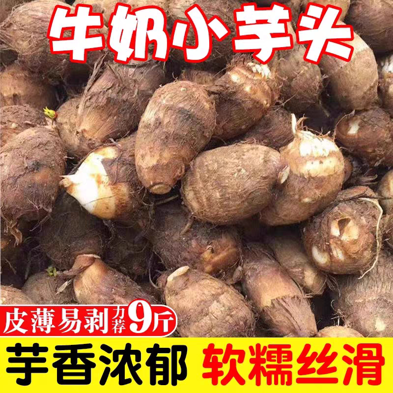 贵州小香芋新鲜云南牛奶小芋头软芋头