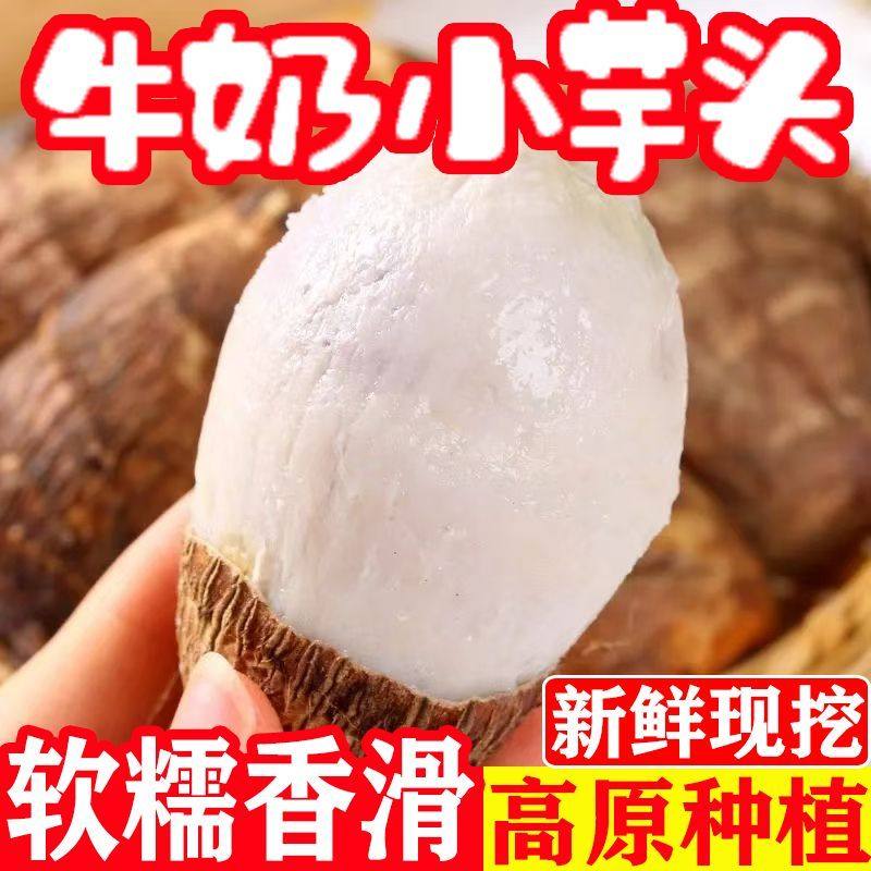 现挖贵州2025新鲜牛奶小芋头香糯高山芋艿小香芋批发蔬菜健康美食,水产肉类/新鲜蔬果/熟食,芋头,淘宝优惠券,粉丝福利购,淘宝优惠卷