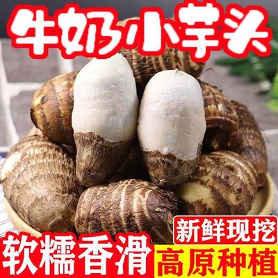 新鲜现挖小芋头软糯香甜好吃不贵