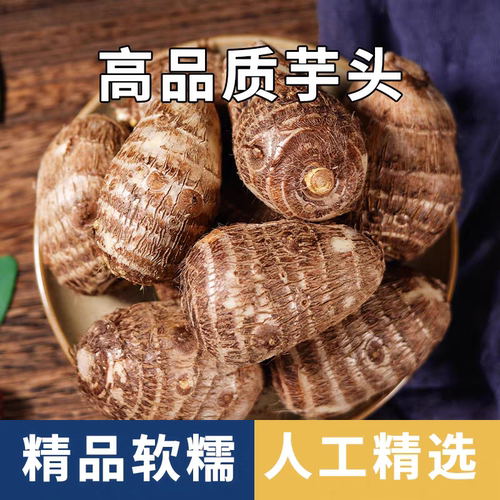 现挖贵州新鲜牛奶小芋头香糯高山种植软糯芋艿小香芋批发蔬菜种子