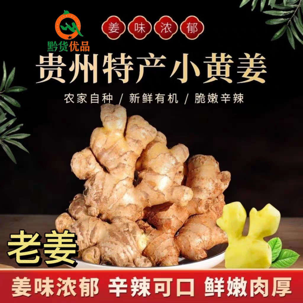 正宗小黄姜辛辣刺激好吃不贵