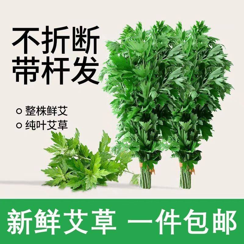 新鲜艾草鲜嫩艾草新鲜带杆整颗