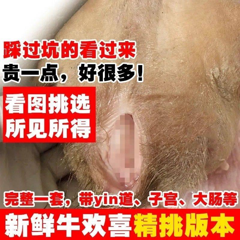 牛逼牛欢喜牛二姐现宰黄牛新鲜整套母牛子宫生殖器官食用滋补食材