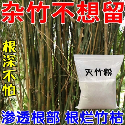 强力去竹粉清竹根竹子专用大竹杂竹荒草灌木彻底干净浓度高见效快