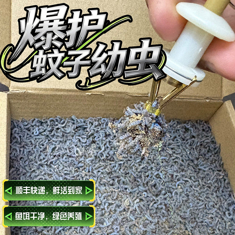 爆护蚊子幼虫活饵钓鱼沙虫子钓黄辣丁鲫鱼鲤鱼饵料鲜活速食