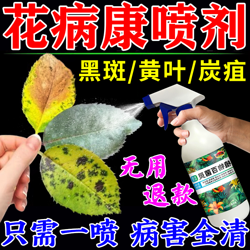 花病康喷剂杀菌剂花卉植物通用黑斑炭...