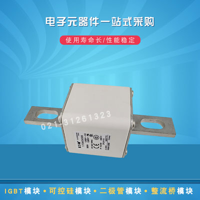 巴斯曼熔断器170M5699 5700 5708 5709 5710 5711 5712 5713 5714