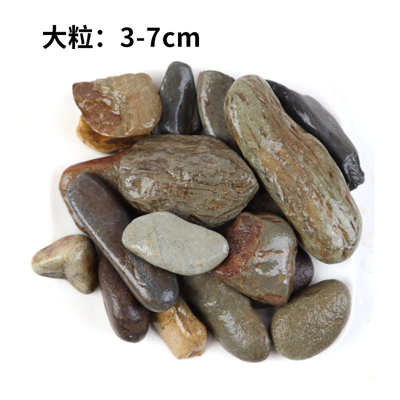 溪流沙底砂专用生草套餐河沙乌龟铺垫石水族精洗沙子生态白景观草,宠物/宠物食品及用品,龟缸,淘宝优惠券,粉丝福利购,淘宝优惠卷