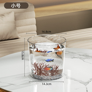 乌龟缸专用箱玻璃龟缸水陆分离龟池鱼缸招财水族箱透明饲养2025小