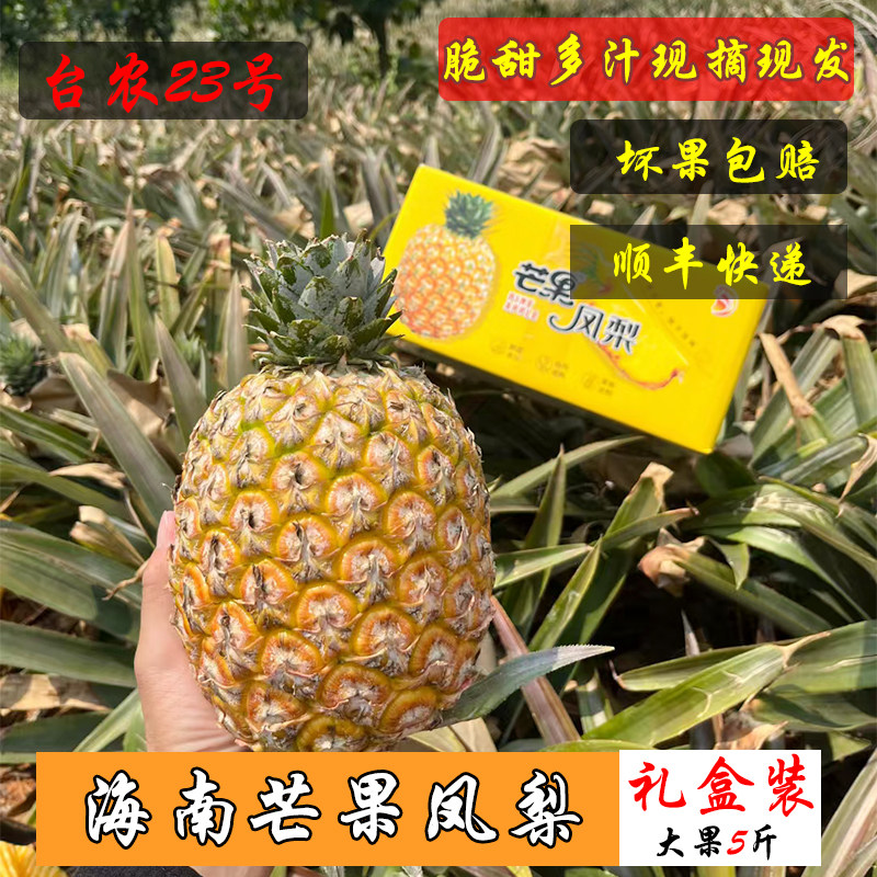 海南芒果凤梨脆甜多汁海南台农23号金钻凤梨现摘现发图片