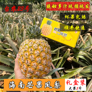 顺丰包邮】海南芒果凤梨脆甜多汁海南台农23号金钻凤梨现摘现发