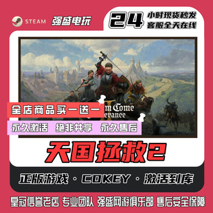 steam正版游戏天国拯救2cdk激活码单机游戏永久入库全DLC包更新
