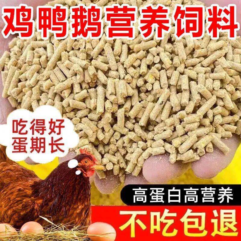 厂家直销80斤鸡饲料喂鸡