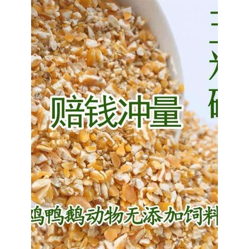 玉米粒碎喂鸡鸭鹅饲料便