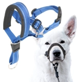 Домашнее животное снабжает регулируемые утолщенные кошачьи и собачья шея кружок Педант Рот рот рот, рот собаки, нос, рот собаки, тяга