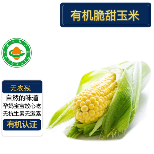 有机认证无农残有机甜脆玉米